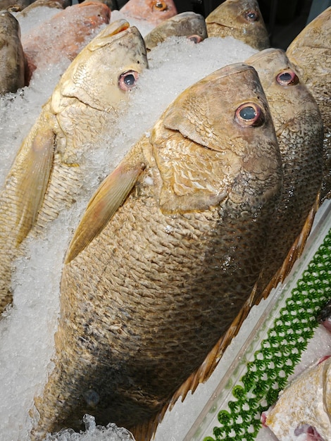 Köstliche Geheime Zubereitung von gegrillter Tilapia